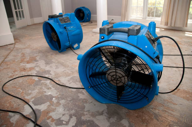 Best Water damage restoration company  in Barrackville, WV